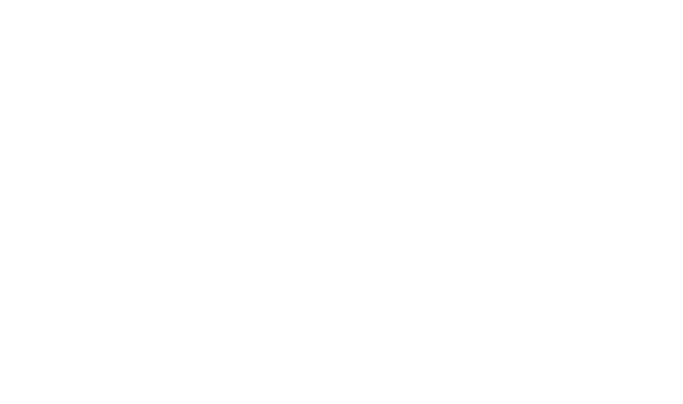 light logo